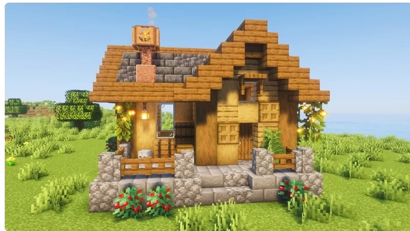 Lomby starter house
